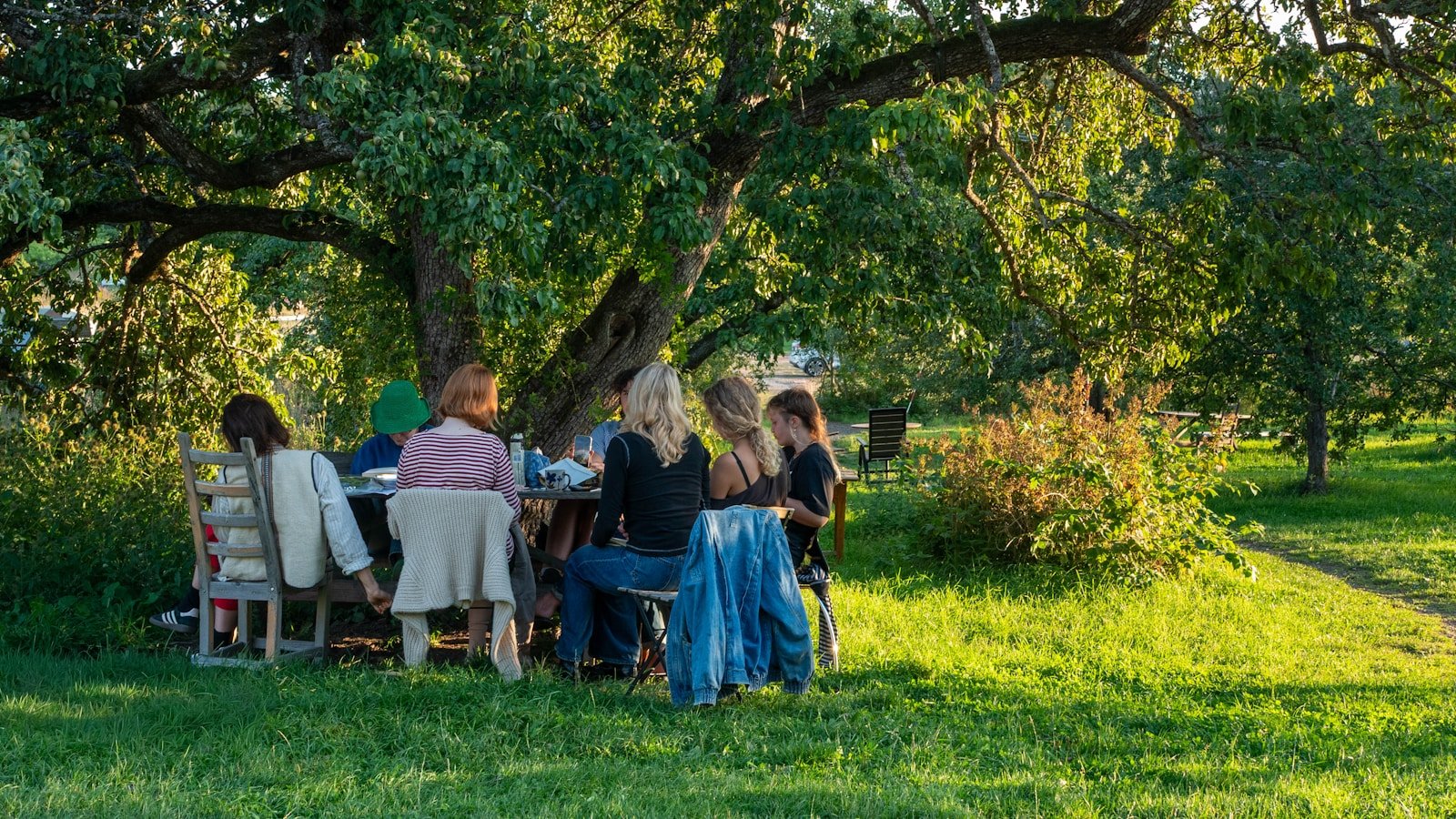 Invités réunis autour d’une grande table en extérieur sous un arbre